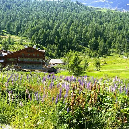 Chalet Fairway