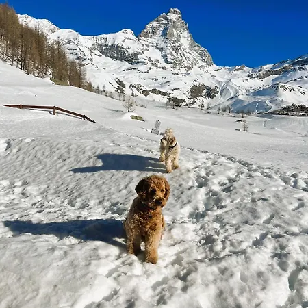 木屋 Fairway 布勒伊-切尔维尼亚
